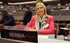 28 October 2016 National Assembly Secretary General Svetislava Bulajic at the roundtable in Geneva
